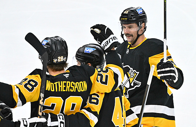 Nečas jistil výhru Colorada, Hronek s Hertlem sbírali asistence