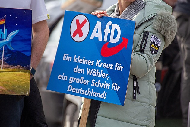Pro AfD by mohla hlasovat víc než polovina Němců, tradiční strany jsou v hluboké krizi