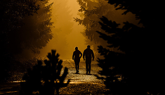 Když mech usvědčil vrahy. Průlomový případ změnil metody kriminalistů